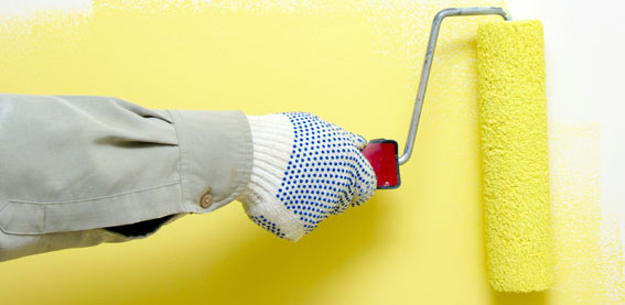 Graphenstone-paintroll